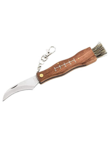 Herbertz mushroom knife 251411 stainless steel 11cm wooden handle with brush