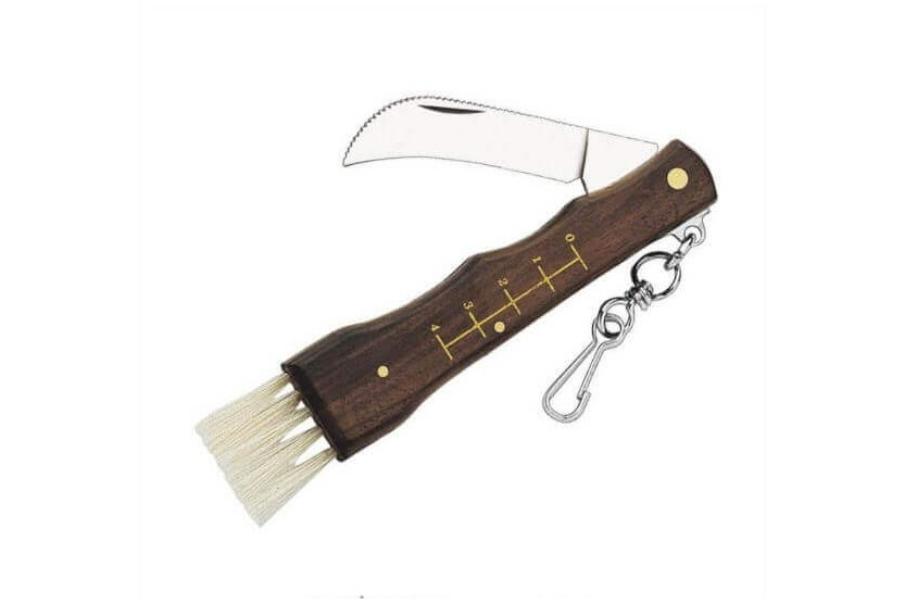 Coltello per funghi Herbertz 251411 in acciaio inox 11 cm manico in legno con spazzola