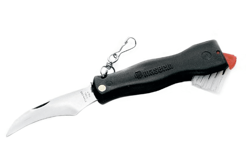 Klappmesser Pilze schwarz Maserin Edelstahl 11cm mit Bürste
