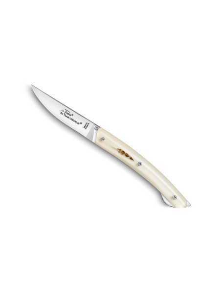 Le Thiers Verrou Claude Dozorme foldekniv med håndtag af malerfjer 12 cm