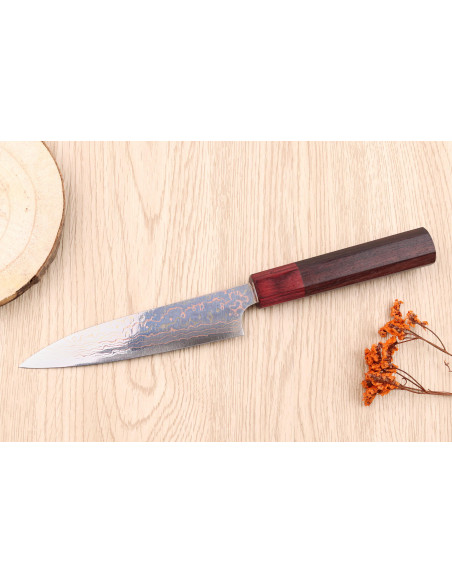 Takeshi Saji VG10 Rainbow 13 cm coltello spelucchino giapponese fatto a mano