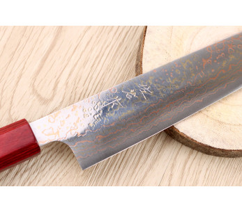 VG10 Rainbow Takeshi Saji 24cm Coltello sujihiki giapponese fatto a mano 2