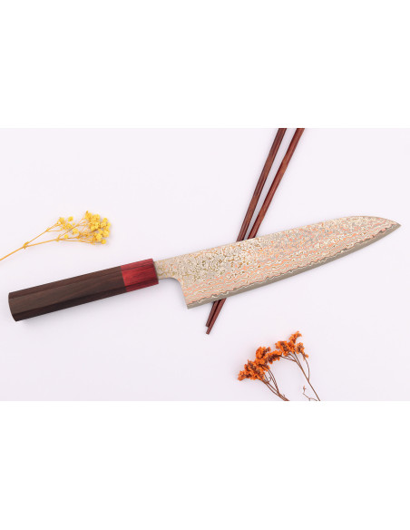 21 cm Takeshi Saji VG10 Rainbow Nashiji traditionel japansk kokkekniv