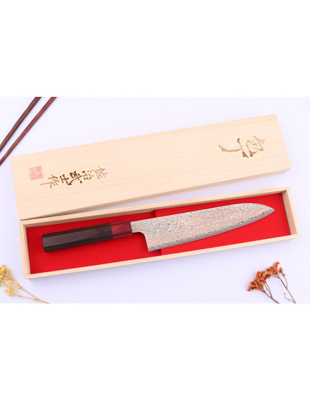 Cuchillo de cocinero tradicional japonés Takeshi Saji VG10 Rainbow Nashiji de 21cm