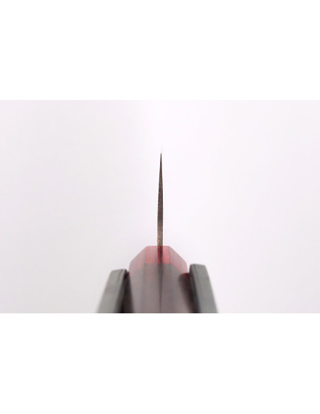 21cm Takeshi Saji VG10 Rainbow Nashiji traditioneel Japans koksmes