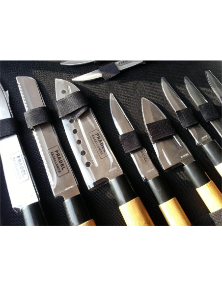 Suitcase of 11 Pradel Excellence Japanese-style knives