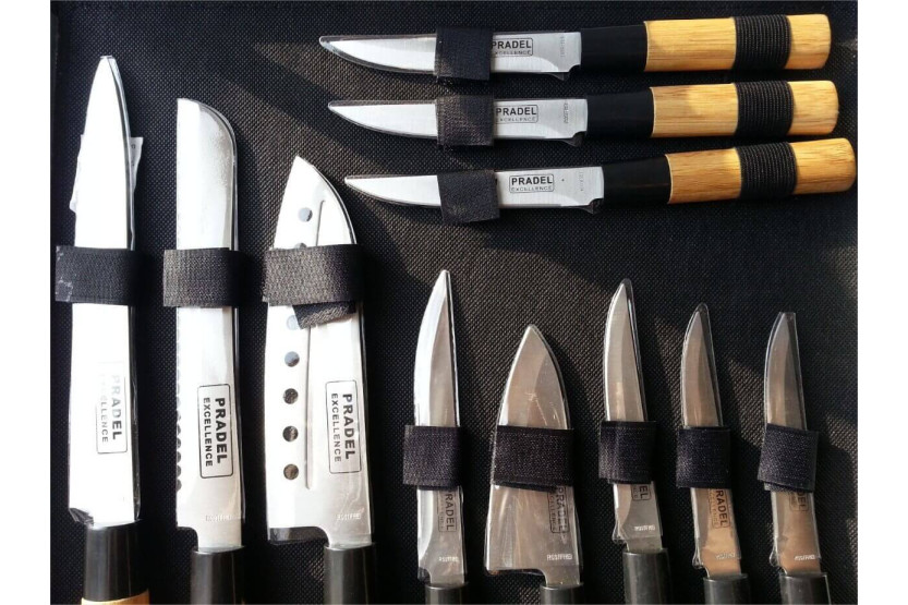 Set di 11 coltelli Pradel Excellence in stile giapponese
