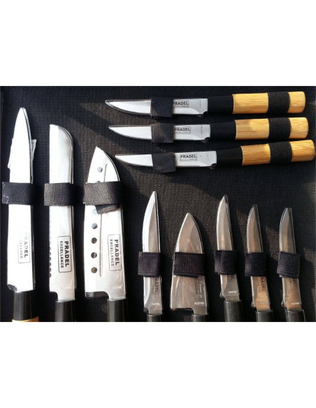 Conjunto de 11 facas Pradel Excellence de estilo japonês