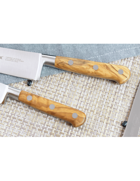 Kochkoffer Sabatier Provençao 5 Messer französische Herstellung + 1 Wetzstahl