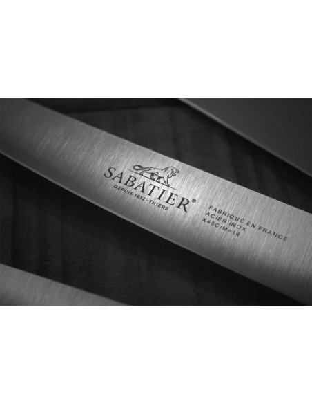 Exklusiver Koffer 4 Messer + 1 Wetzstahl Sabatier Chef französische Herstellung