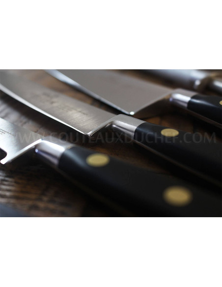 Estuche exclusivo 4 cuchillos + 1 chaira Sabatier Chef Producción francesa
