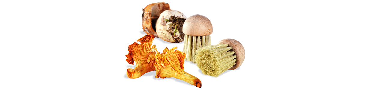 Brosse à champignons